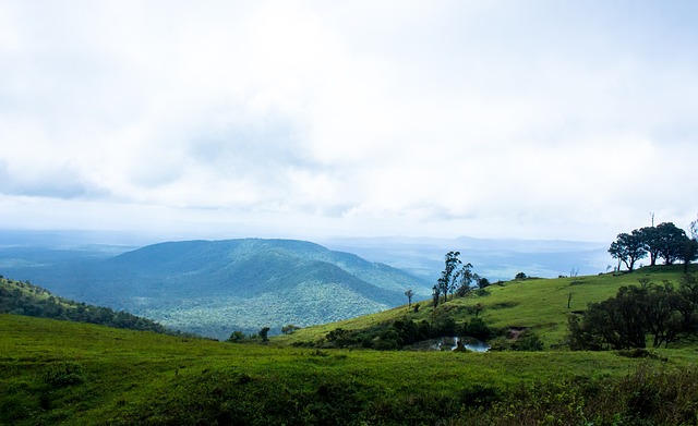 但多次错失 但多次错失