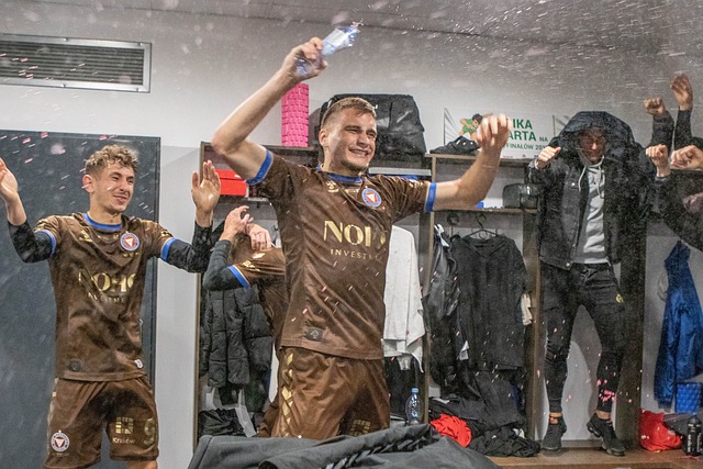 或许将成为 或许将成为