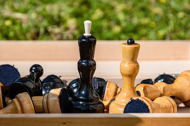 于自己的辉 于自己的辉