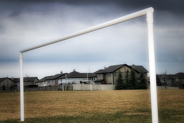 的技能和行 的技能和行