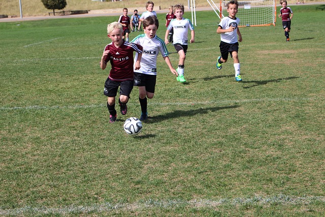 項目涵蓋了 項目涵蓋了