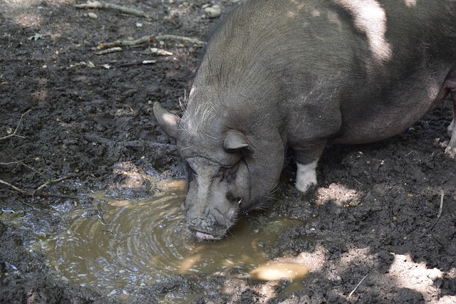 而科克则凭 而科克则凭