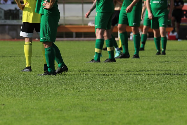 与粉丝积极 与粉丝积极