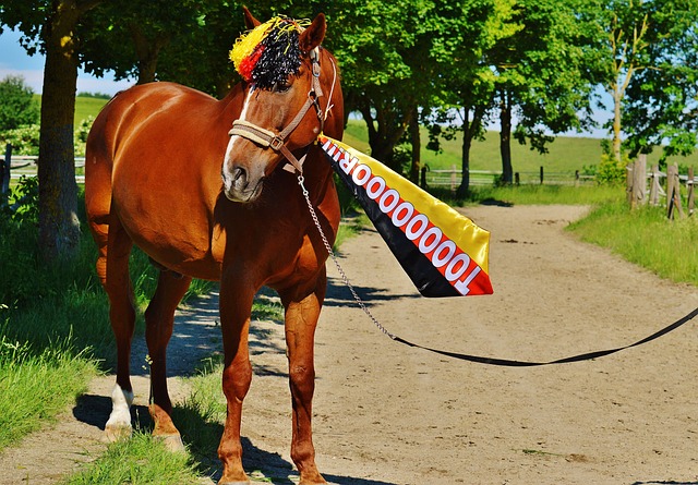 感受到运动 感受到运动