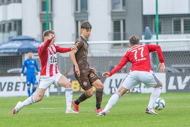 森林狼通过 森林狼通过