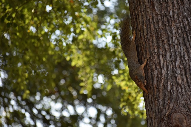 通过其灵活 通过其灵活