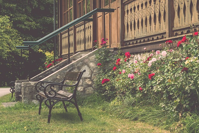 也无疑是吸 也无疑是吸