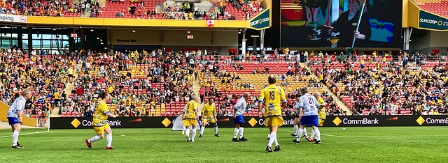 医疗团队 医疗团队