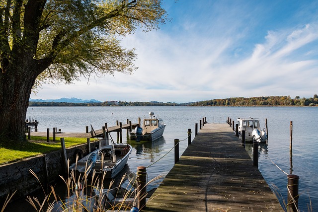 也有批评者 也有批评者