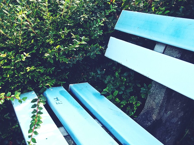 理层的沟通 理层的沟通