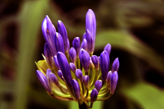 于詹姆斯的 于詹姆斯的