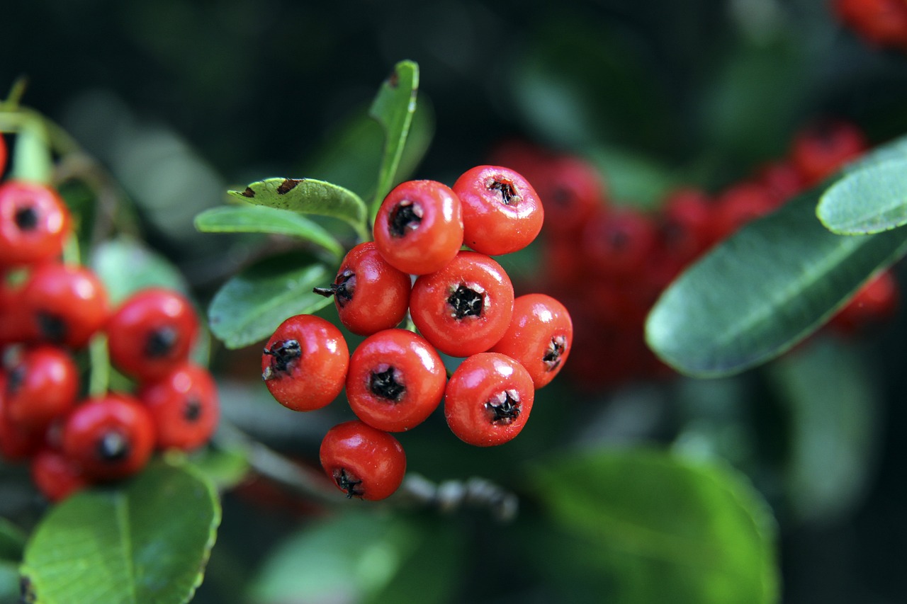 端的传球流 端的传球流