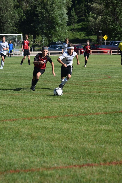 瓦希加盟馬 瓦希加盟馬