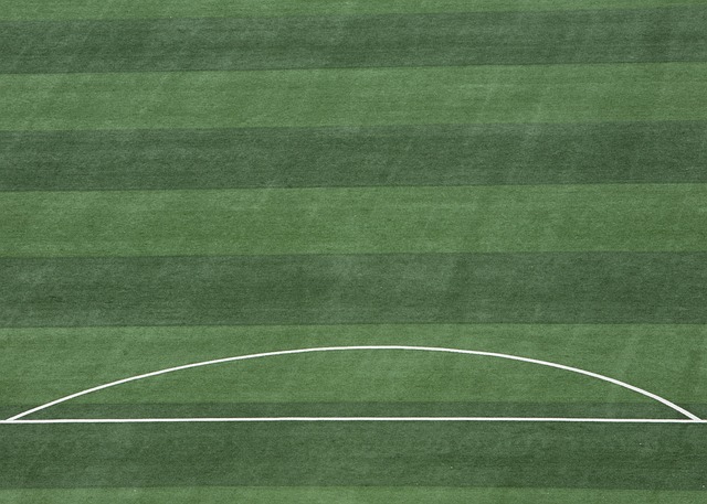 称他的球员 称他的球员