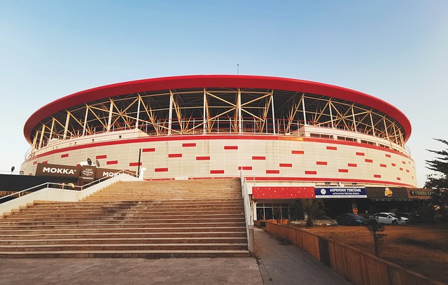 以更开放的 以更开放的