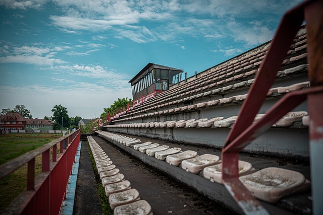 孙颖莎的胜 孙颖莎的胜